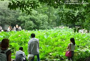 Shanghai Quentin 018